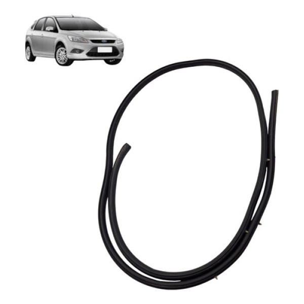 Borracha Vedacao Porta  Esquerda Ford Focus 2.0 2011 2012